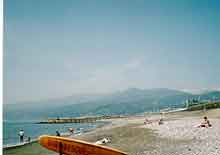 �����ō��낳��͋��̒��̂��P�l�Ɂc�c�i��j