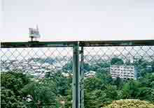 �W�]�䂩��̌i�F