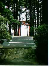 ���̓��𒼍]�͋��������đ���B���ǂ������ƌZ�́c�c