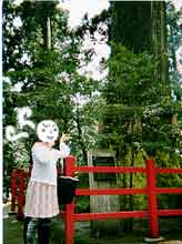 ���̒��ɋ؂����낤�Ƃ����̂ˁc�c�Ƃ��l���Ă鈢�[����B