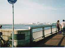 �ٓV���`�B��]�m���ɂ�����V���ɂ�`��iBY�T�U���j