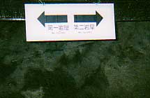 �����Ă����B�܂��͌���ʂ���≮����