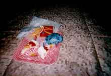 ������V�B�i�t�B���I�t�B�b�V���ƃo�[�X�f�[�P�[�L�j