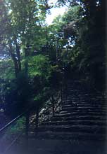 �����̂ڂꔹ�l�I�I�_�b�V���_�[�b�V���_�V���I�I