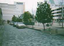 �p���R�B�����ƌF�{�҂ŏ�ʂ�̃Q�[�Z���ɘA�����Ƃ��ɁA�u�����ɂ��p���R������񂾁c�v�Ɖ��������v�����n�Y�I�ƗF�l�̊ԂŁA�����ς珟��ɐ����B