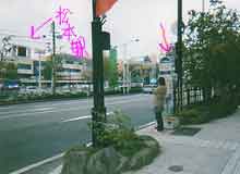 ���n�@�c�c�B�i���j