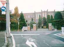 ���̍�������Ɠo�����Ƃ���ɂ���A���̐^�񒆂̌����ł��B