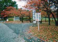 ���������o��Ɠ�����