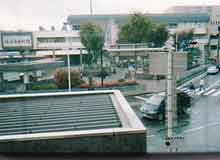 ��K�̑����猩�鏼�{�w�B