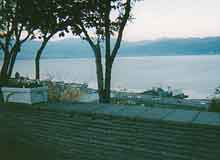 ���������x�����ԂɂȂ���Y��Ȗ�i��������͂��c�c*